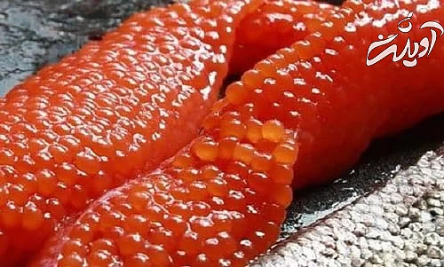 اشپل ماهی و بهترین روش پخت آن